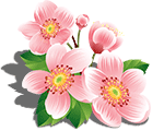Pink Flowers by KmyGraphic