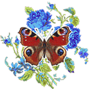 Lovely Butterfly