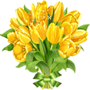 Yellow-Tulips