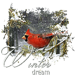 Winter Dream by KmyGraphic