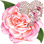 PinkRosa by KmyGraphic