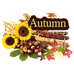 Autumn rain by KmyGraphic