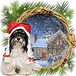 I'll be your Santa by KmyGraphic
