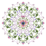 Mandala by KmyGraphic