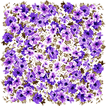 Spring is in the air by KmyGraphic