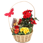 Flowers for you by KmyGraphic