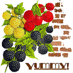 Yummy by KmyGraphic