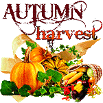 Autumn-Harvest by KmyGraphic
