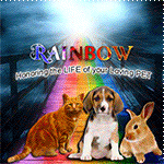 Rainbow Bridge by KmyGraphic