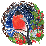 Bullfinch by KmyGraphic