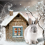 Rabbit by KmyGraphic