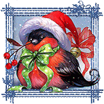 Christmas bird by KmyGraphic
