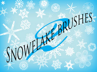 101 Snowflake Brushes