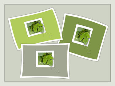 Leaf out of bounds II