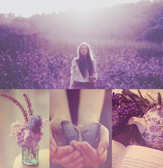 Purple wonderland action by Bokehlie on DeviantArt