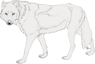 Free Wolf Lineart