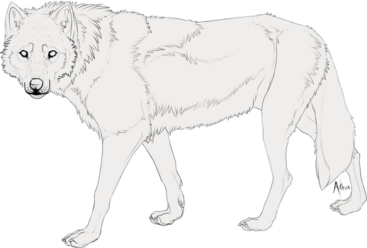 Free Wolf Lineart