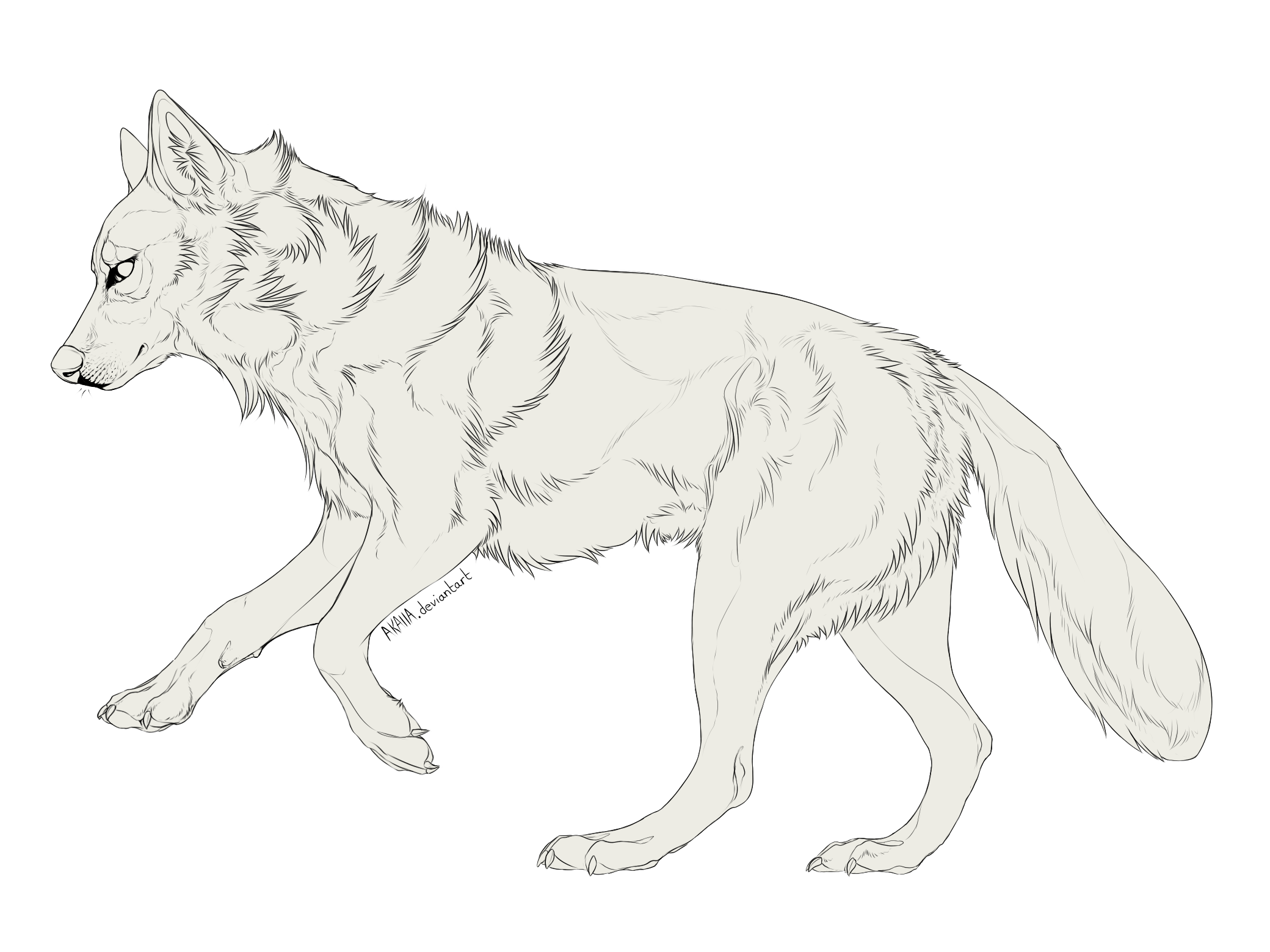 Galloping Wolf Free Lineart