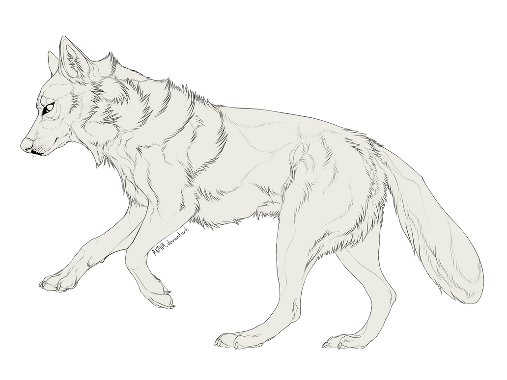 Манекены волков. Рисунок собаки волка. Рисунок собаки волка. Лайны референсы волков. Лайн собаки.
