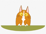 Cute Cat Animation