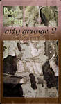 City Grunge 2 Pack by Baq-Stock