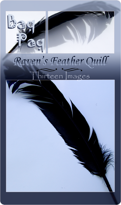 Raven's Feather Quill Pack