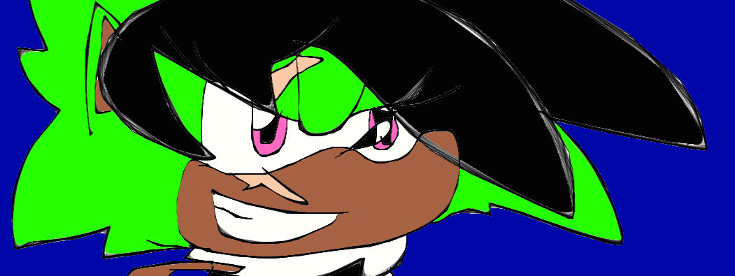 emerald the hedgehog by sondow11 on DeviantArt