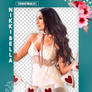 The Bella Twins - Pack Png #11