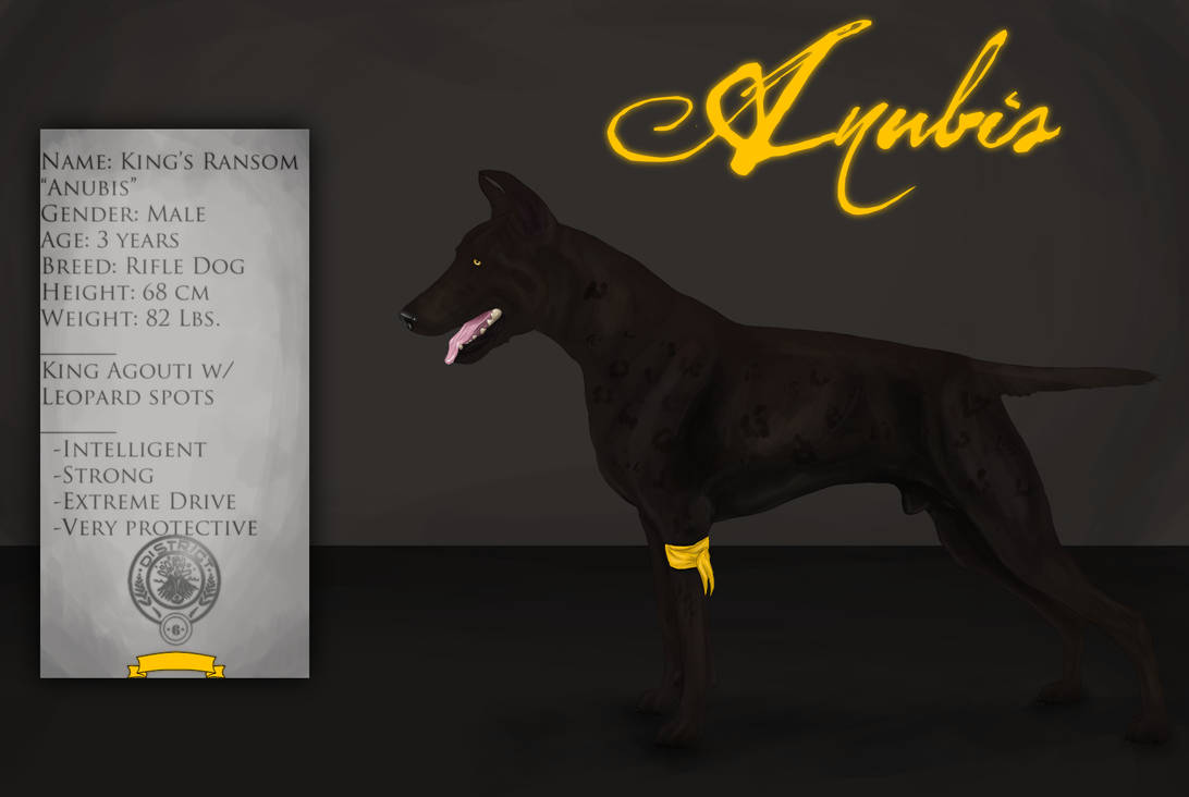 Anubis 5th Annual HG Reference by CieloCadono on DeviantArt