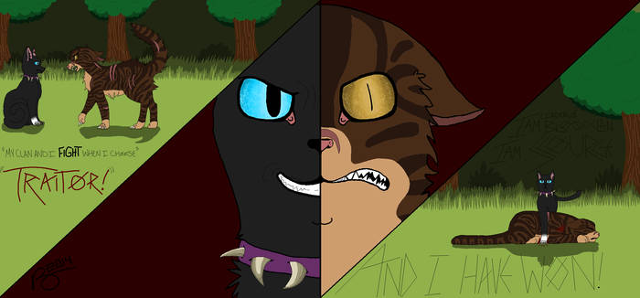 Tigerstar's Final Fight