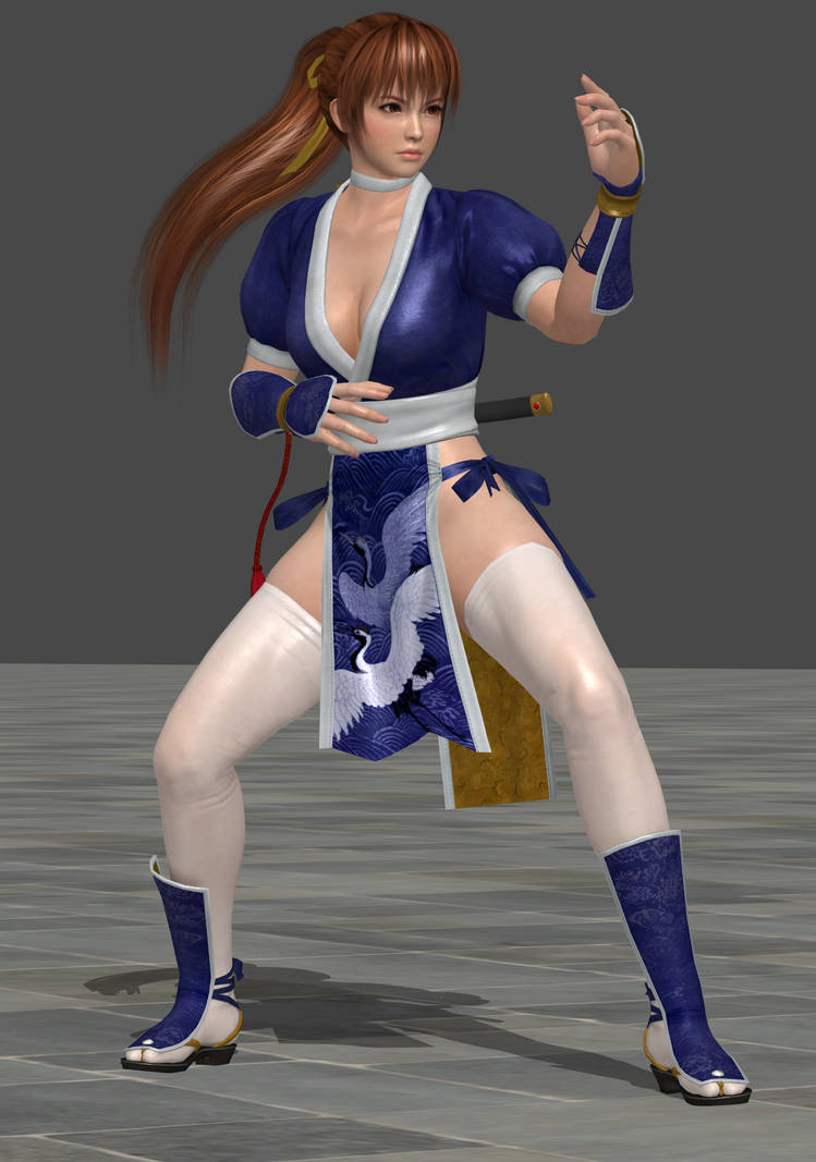 Kasumi's Fighting Stance by IKeelYou457 on DeviantArt