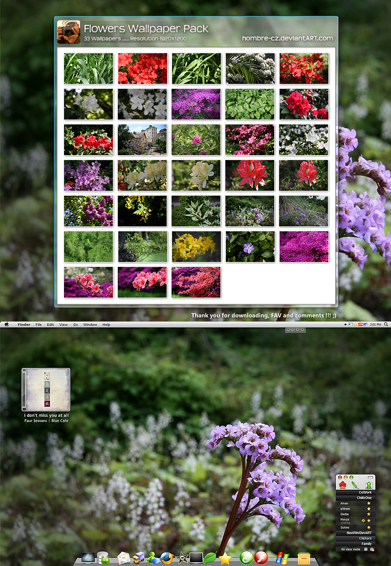 Flowers Widescr Wallpaper Pack