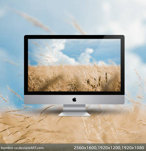 In the field II wallpaper