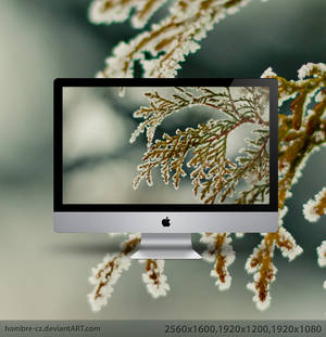 Winter II