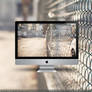 Wire Fence Wallpaper
