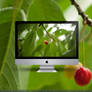 Cherry wallpaper