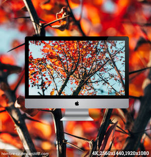 Autumn Colors Blue and Orange