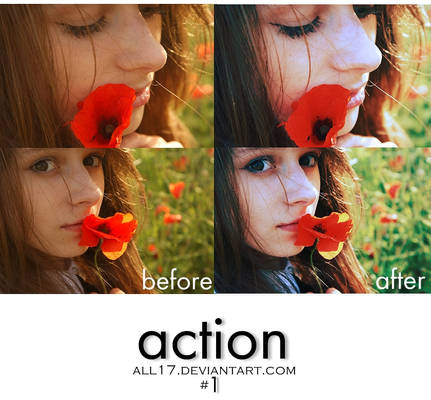 .: action 1 :.