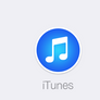 iTunes Flat dock icon