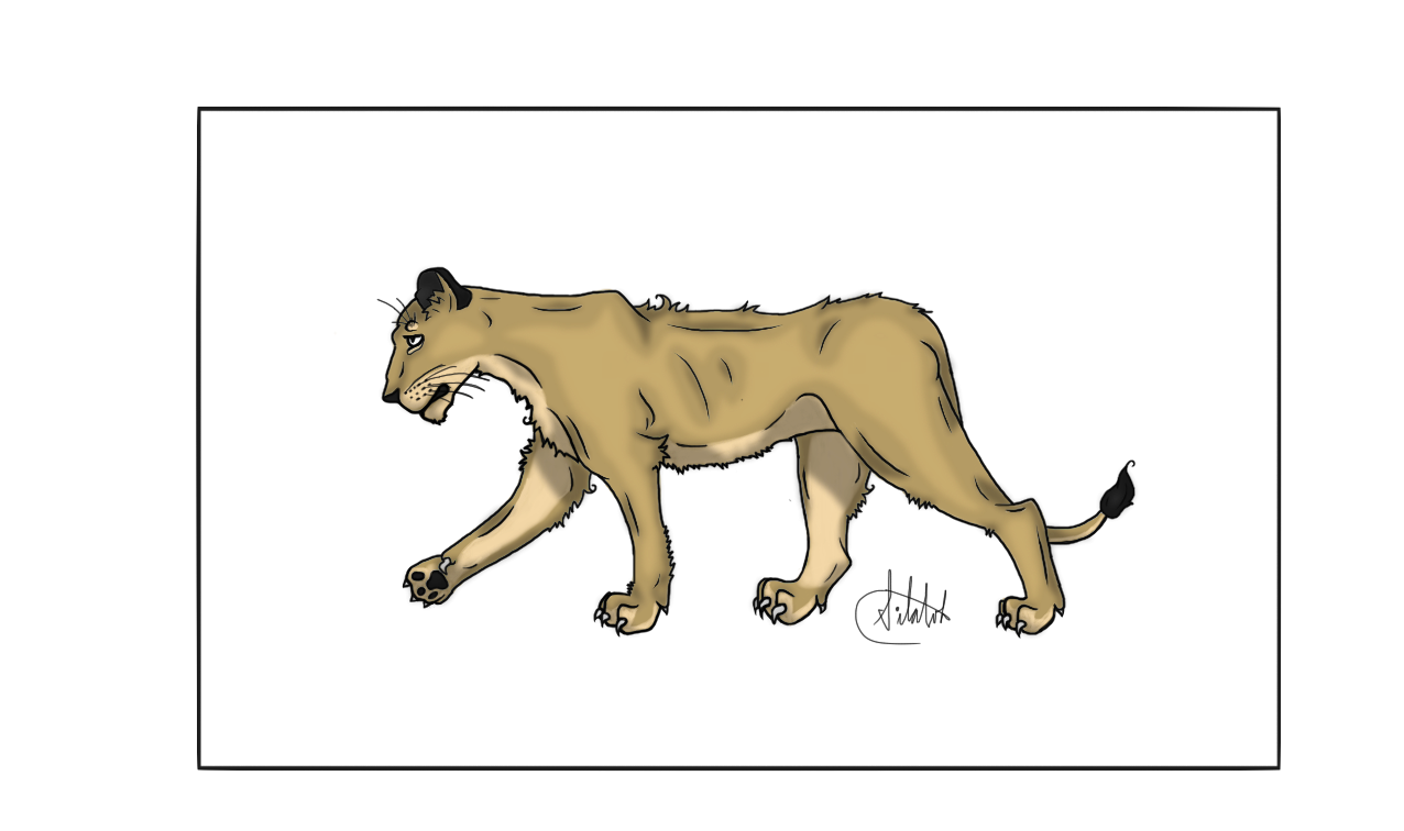 Lioness