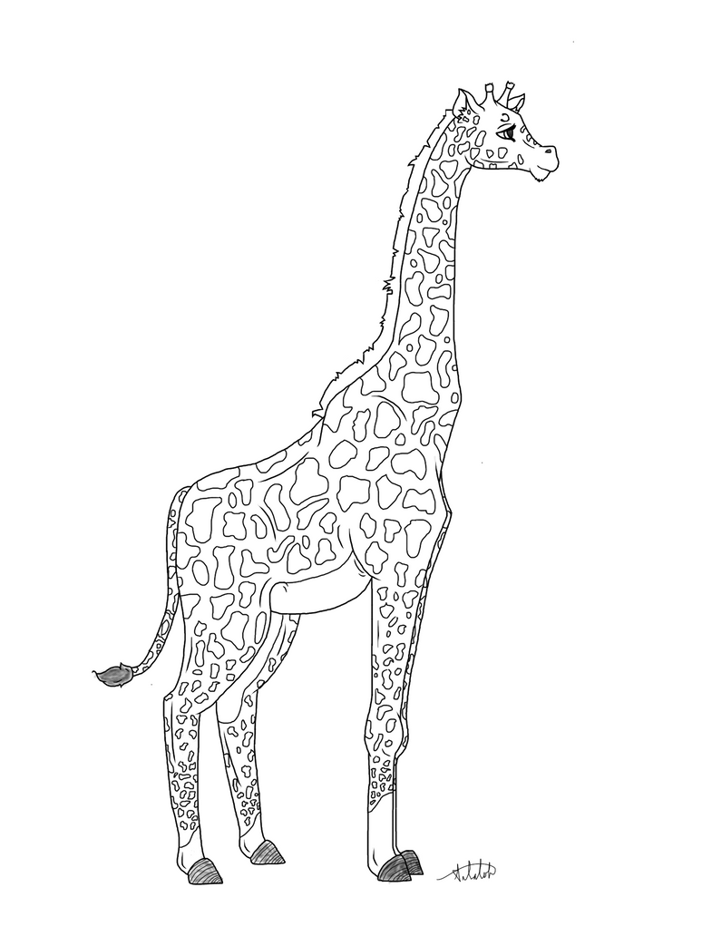 Giraffe lineart by chatoyant11 on deviantart
