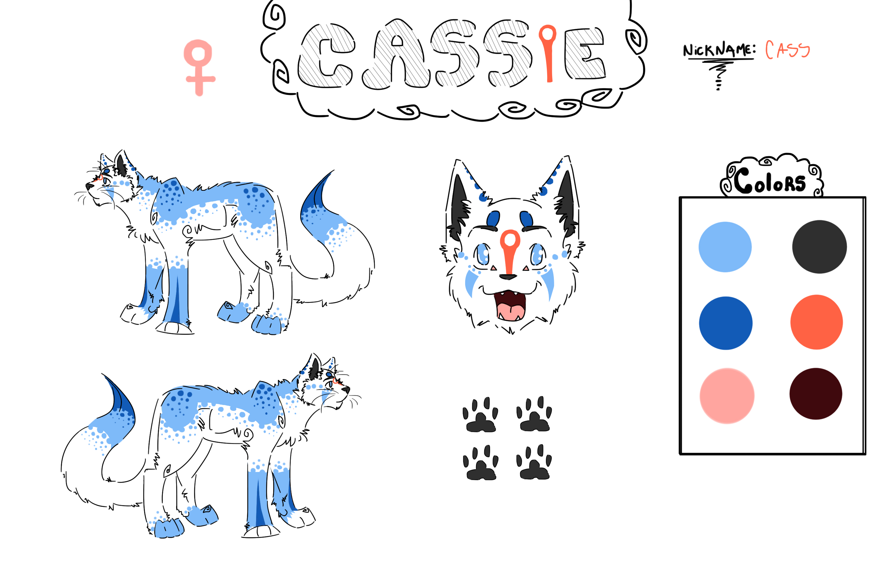 Cassie Ref Sheet ~ NOT IN USE by Chatoyant11 on DeviantArt