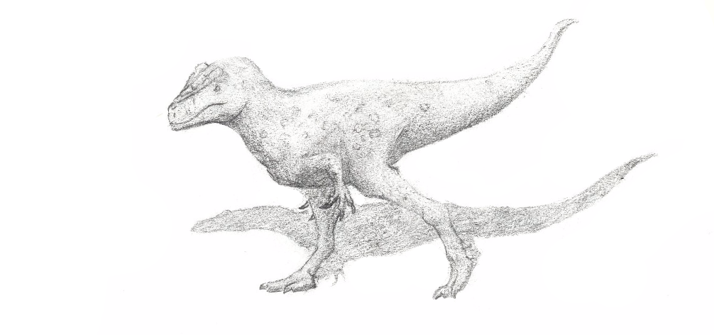 Allosaurus fragilis