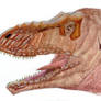 Tyrannosaurus rex Head