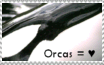 Orca Love Stamp
