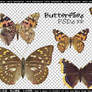 Butterflies PNGs