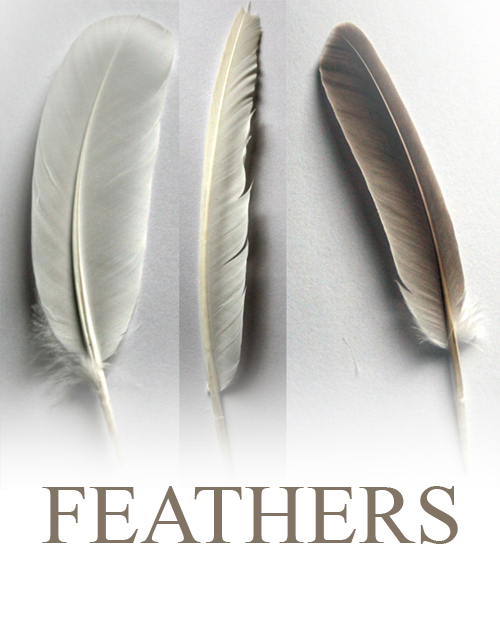 Feather Pack