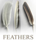 Feather Pack
