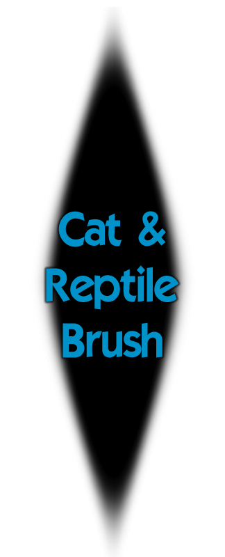 Cat and Reptile Eye Brush