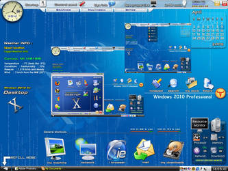 windows 2010 professional